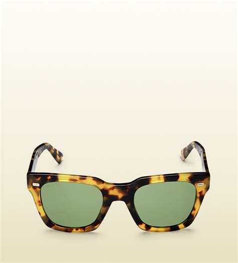 gucci havana acetate sunglasses|gucci oversized square sunglasses.